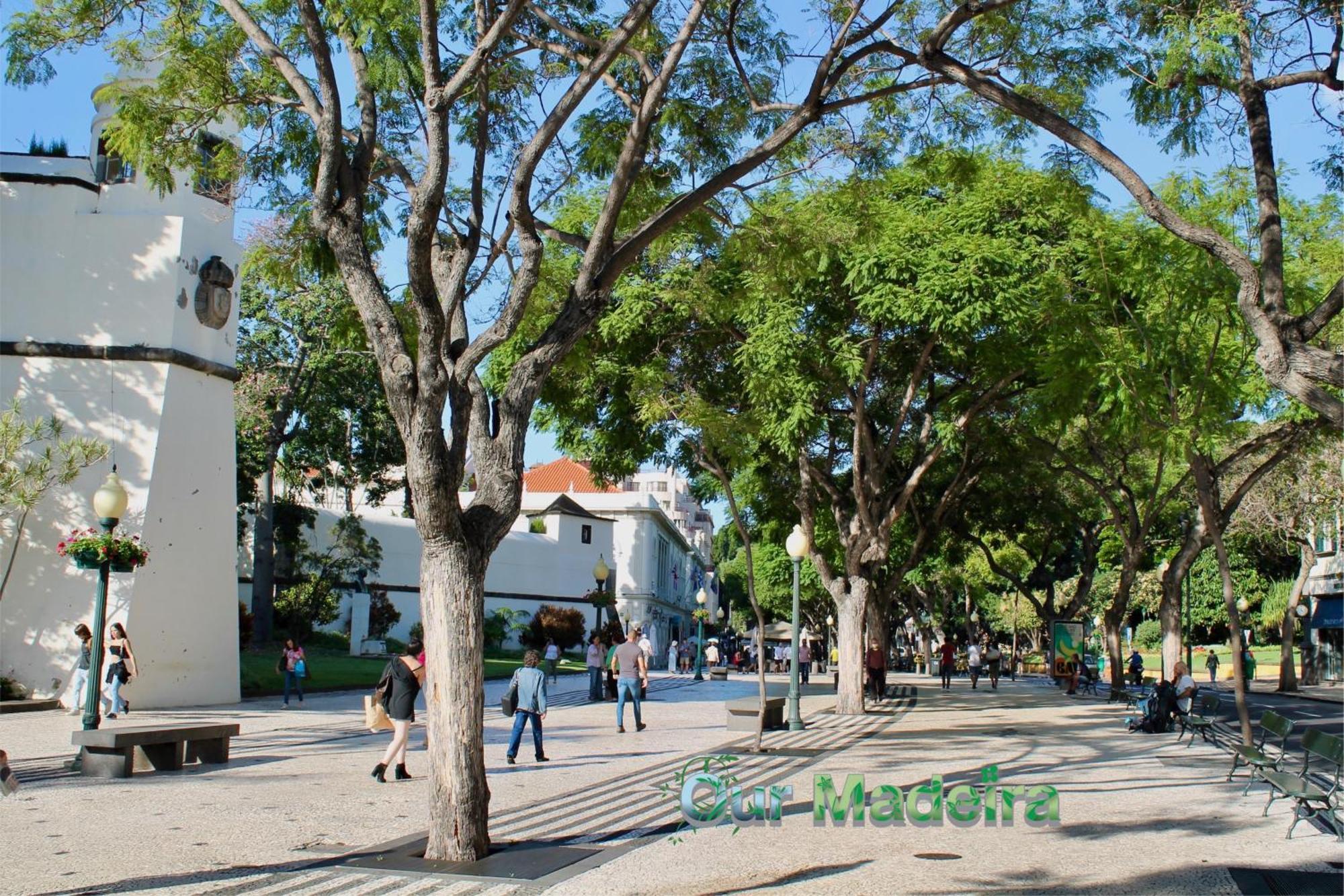 Ourmadeira - Heart Of Old Town I Appartement Funchal  Buitenkant foto